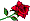:rose: