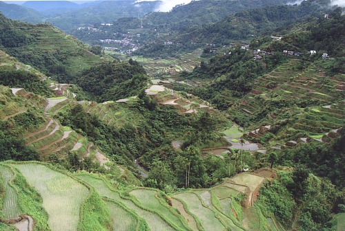 Рисовые террасы в Бонауе. Провинция Ифугао, Северный Лусон