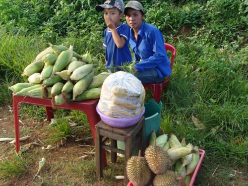 Торгующие кукурузой и дурианами. Вьетнам