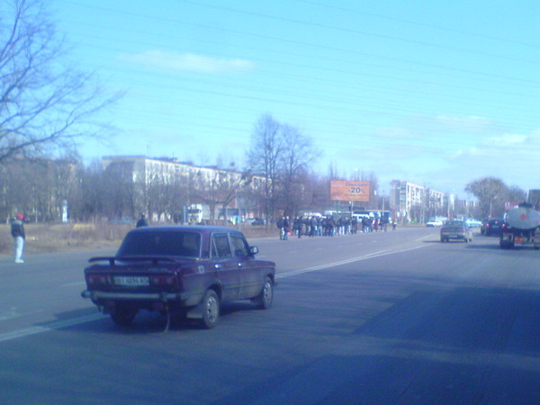 лежбище тюленей на вызде из Полтавы на Киев